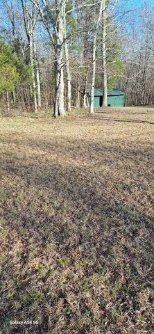 342 E Little Richland Rd, Waverly, TN 37185