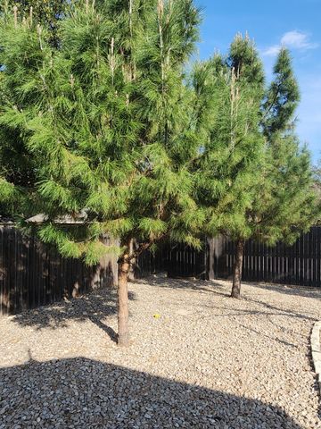 3405 Windmill Drive, San Angelo, TX 76904