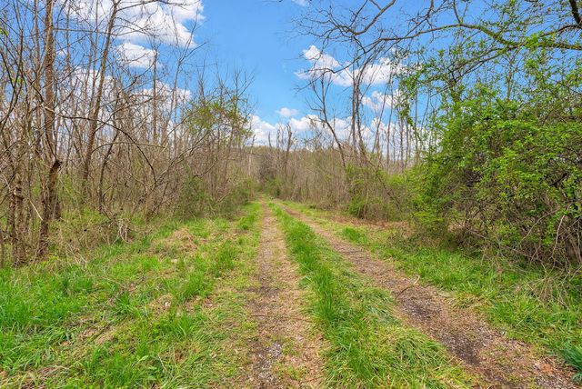 1540 Terrapin Branch Rd, Mount Pleasant, TN 38474