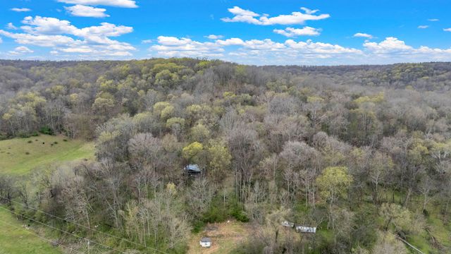 1540 Terrapin Branch Rd, Mount Pleasant, TN 38474