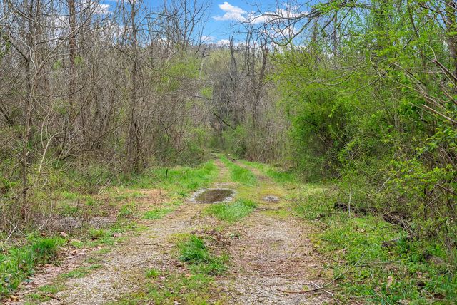 1540 Terrapin Branch Rd, Mount Pleasant, TN 38474