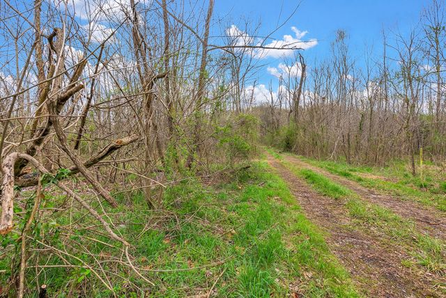 1540 Terrapin Branch Rd, Mount Pleasant, TN 38474