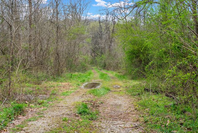 1540 Terrapin Branch Rd, Mount Pleasant, TN 38474