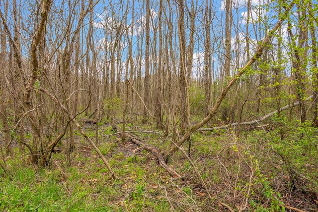 1540 Terrapin Branch Rd, Mount Pleasant, TN 38474