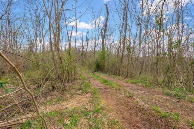 1540 Terrapin Branch Rd, Mount Pleasant, TN 38474