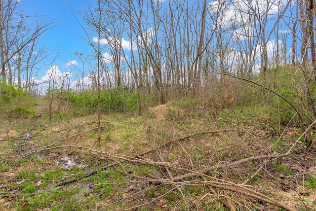 1540 Terrapin Branch Rd, Mount Pleasant, TN 38474