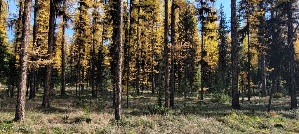 410 Poco Lobo Rd, Troy (MT), MT 59935 photo 11