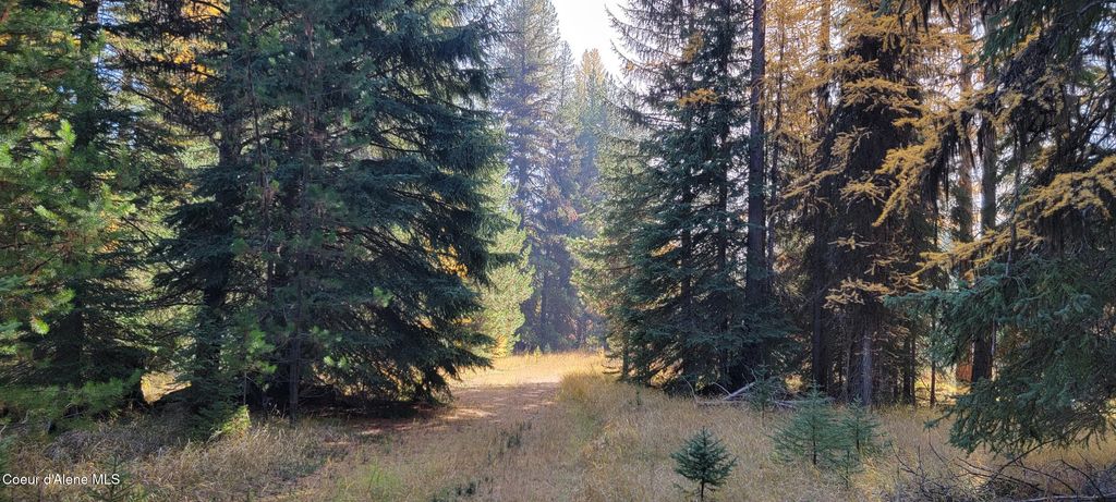 410 Poco Lobo Rd, Troy (MT), MT 59935 photo 13