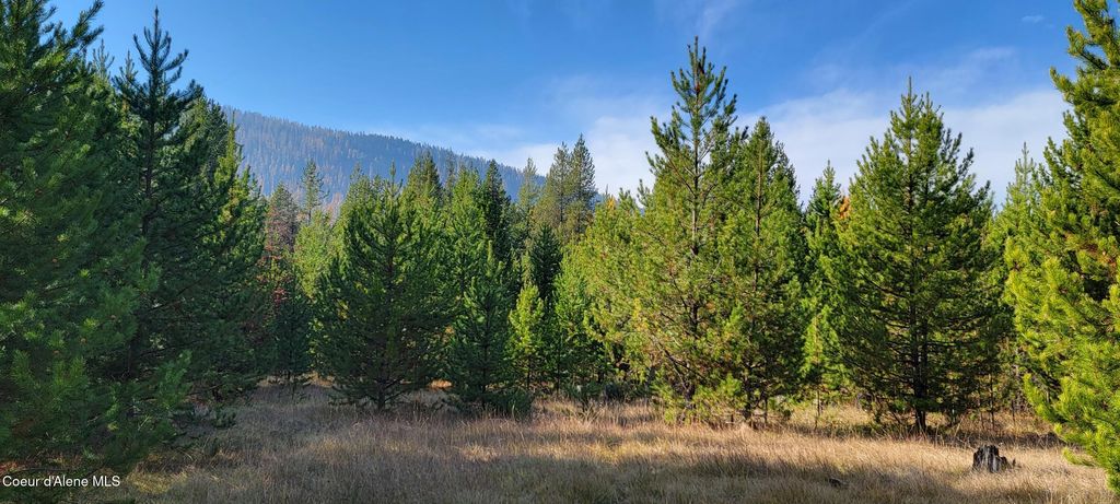 410 Poco Lobo Rd, Troy (MT), MT 59935 photo 15