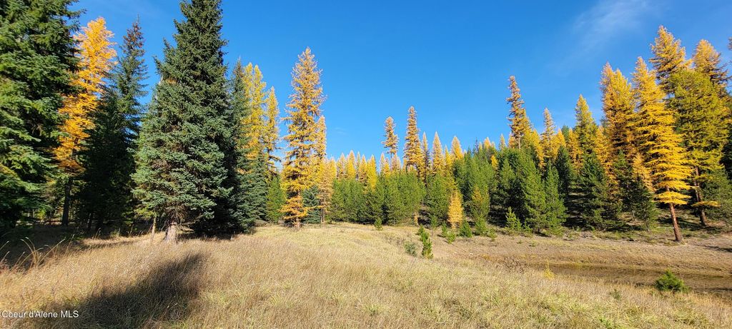 410 Poco Lobo Rd, Troy (MT), MT 59935 photo 17