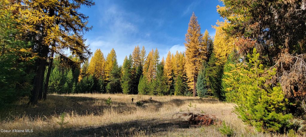 410 Poco Lobo Rd, Troy (MT), MT 59935 photo 18