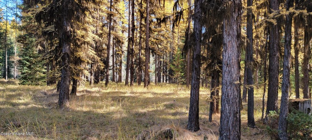 410 Poco Lobo Rd, Troy (MT), MT 59935 photo 19