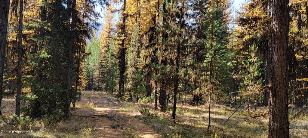 410 Poco Lobo Rd, Troy (MT), MT 59935 photo 20