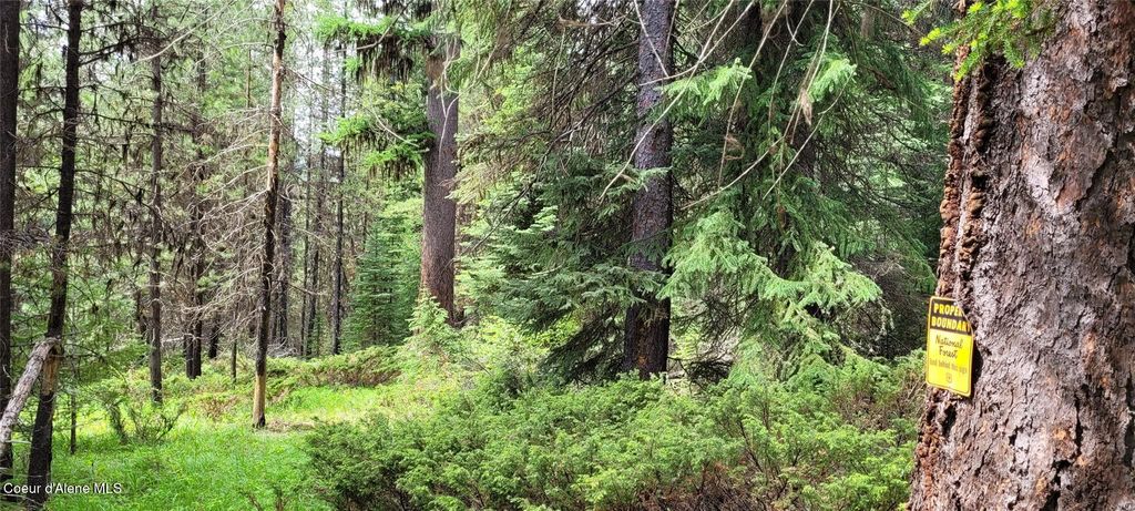 410 Poco Lobo Rd, Troy (MT), MT 59935 photo 21