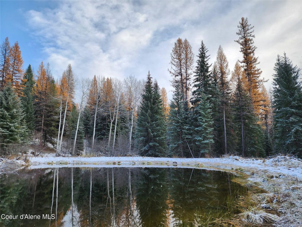 410 Poco Lobo Rd, Troy (MT), MT 59935 photo 26