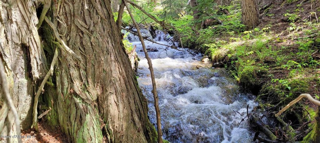 410 Poco Lobo Rd, Troy (MT), MT 59935 photo 4