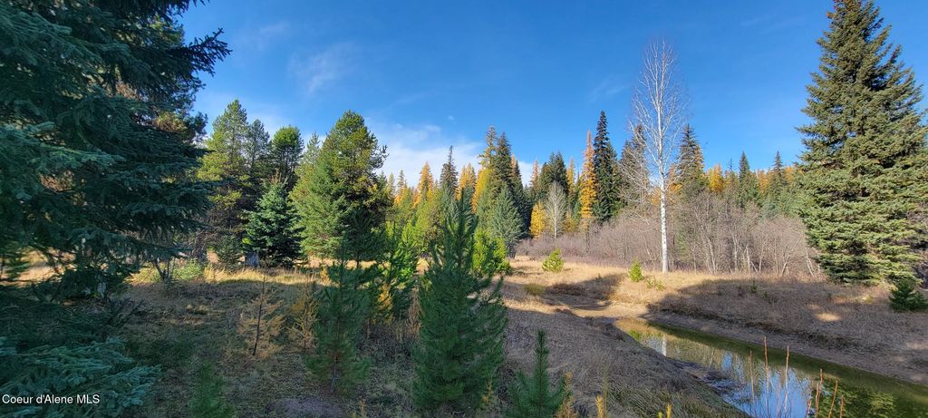 410 Poco Lobo Rd, Troy (MT), MT 59935 photo 6