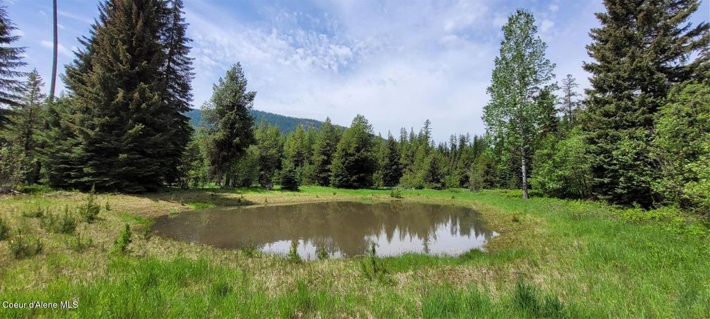 410 Poco Lobo Rd, Troy (MT), MT 59935 photo 8