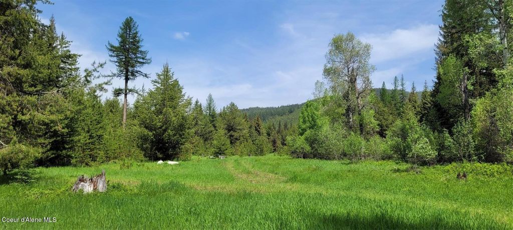 410 Poco Lobo Rd, Troy (MT), MT 59935 photo 9