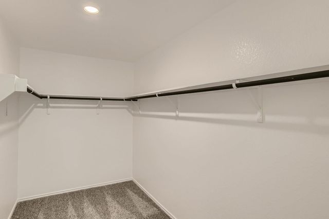 3306 Dusted Daisy ST, Pflugerville, TX 78664