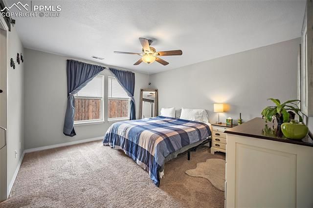 7812 Hirshorn Point, Peyton, CO 80831