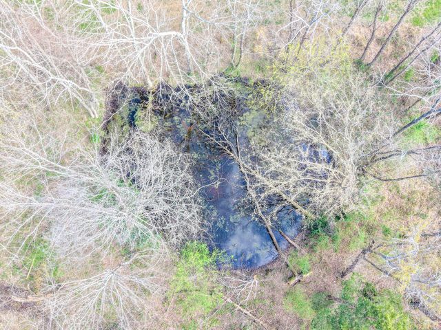 4314 Woodrow Wilson Rd, Springfield, TN 37172