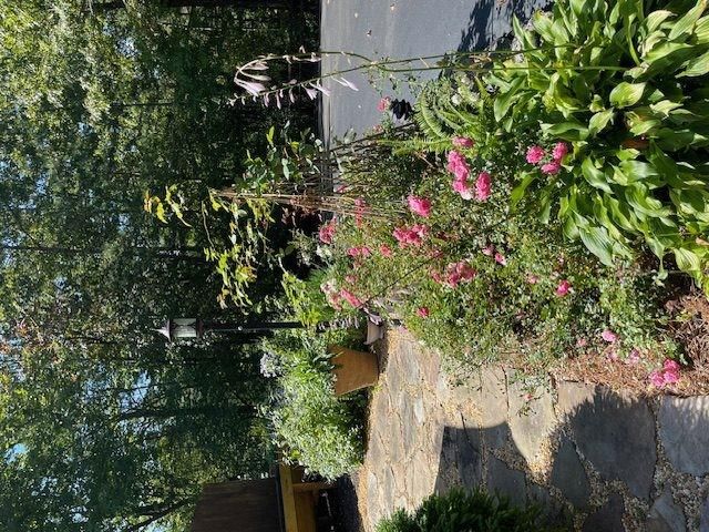 205 Minnehaha Trail, Blue Ridge, GA 30513