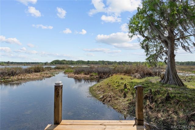 8911 S Lakeshore Drive, Floral City, FL 34436