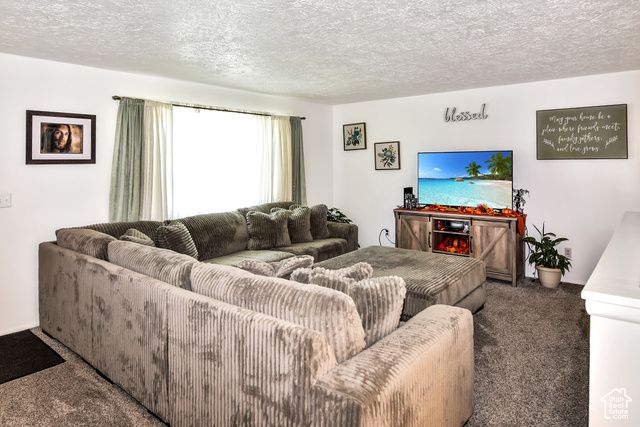 1003 FLAMINGO ST, Mccammon, ID 83250