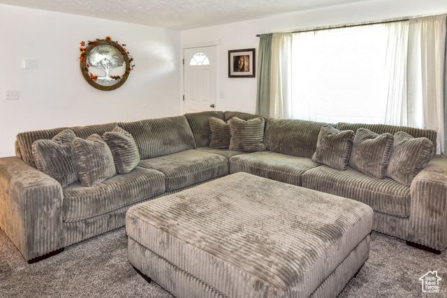 1003 FLAMINGO ST, Mccammon, ID 83250