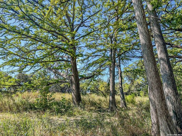 000 Ranch Rd 473, Blanco, TX 78606