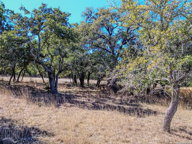000 Ranch Rd 473, Blanco, TX 78606