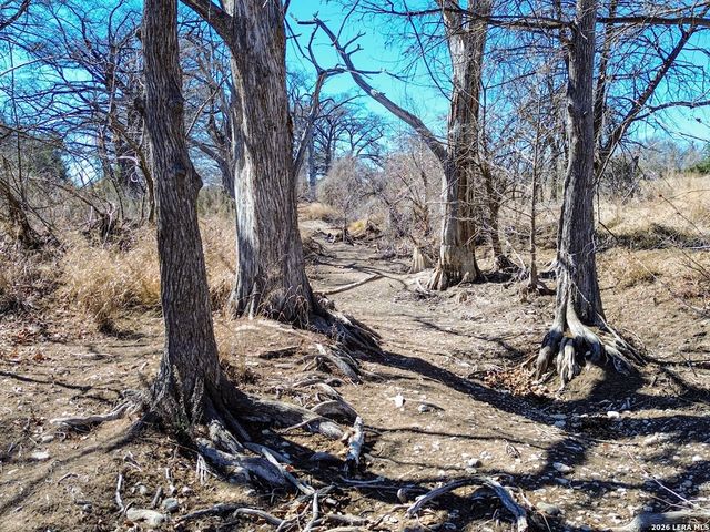 000 Ranch Rd 473, Blanco, TX 78606