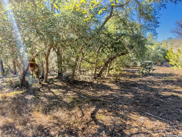 000 Ranch Rd 473, Blanco, TX 78606