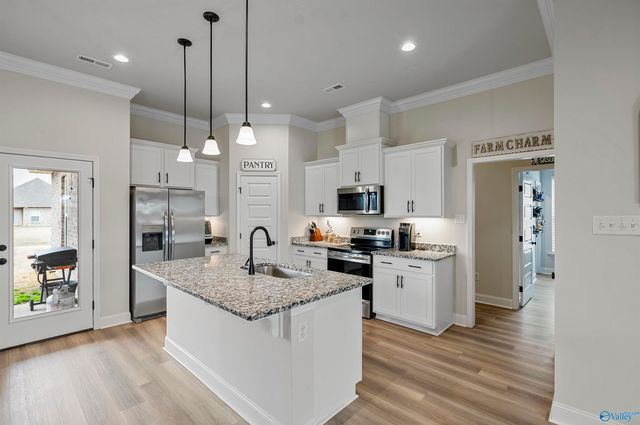 24454 Bekah Lane, Toney, AL 35773