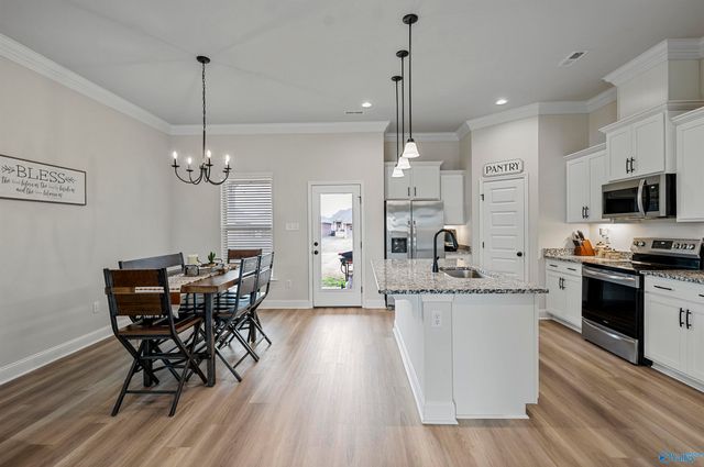 24454 Bekah Lane, Toney, AL 35773