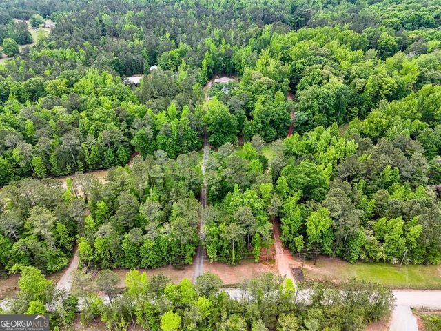 1337 Green Street, Concord, GA 30206