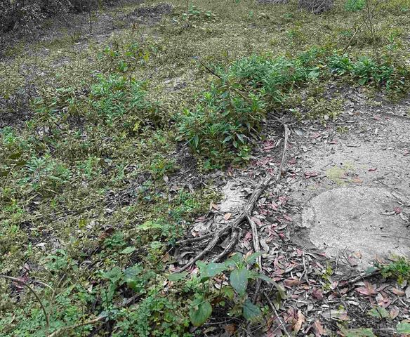 3913 Kelly Ave, Pensacola, FL 32505