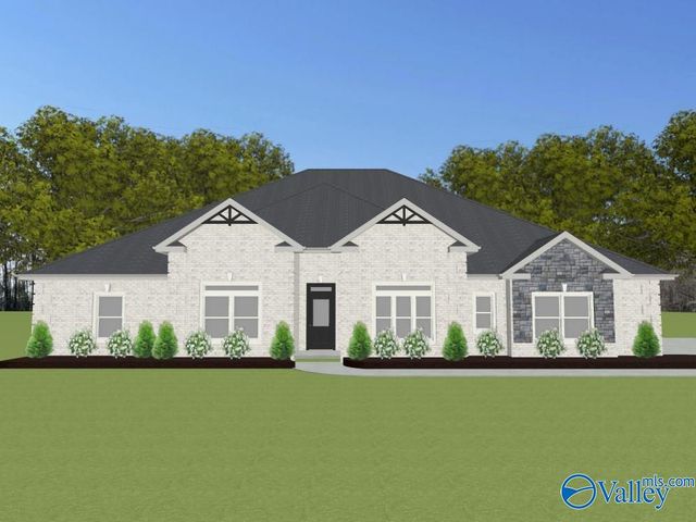 Augusta E Mallard Drive, Madison, AL 35756