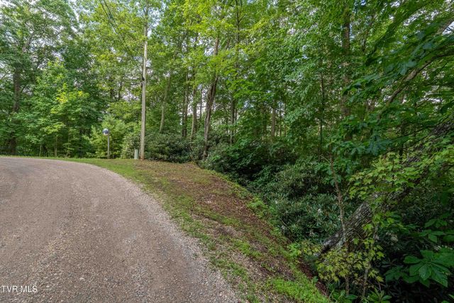 1501 Sprucy Ridge Private Road, Mountain City, TN 37683