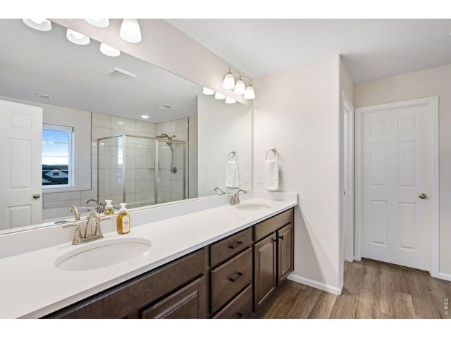 5604 Congressional Ct, Windsor, CO 80528