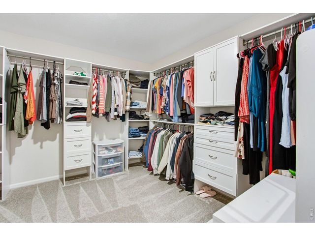 5604 Congressional Ct, Windsor, CO 80528