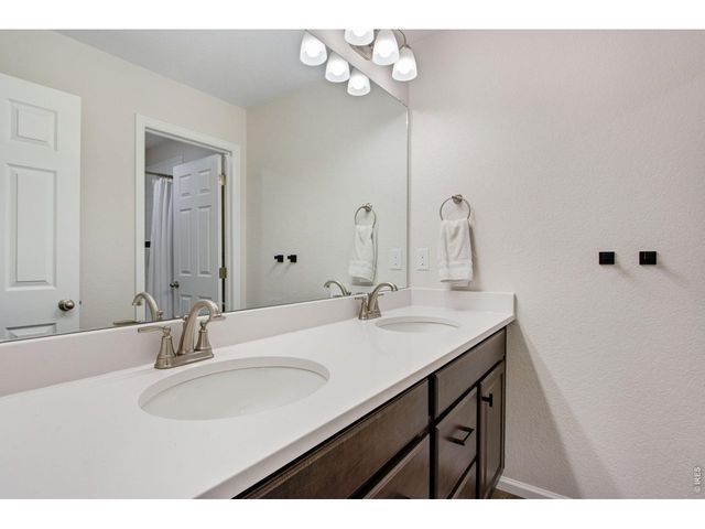 5604 Congressional Ct, Windsor, CO 80528