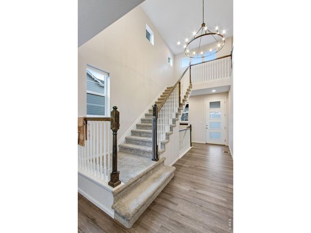 5604 Congressional Ct, Windsor, CO 80528