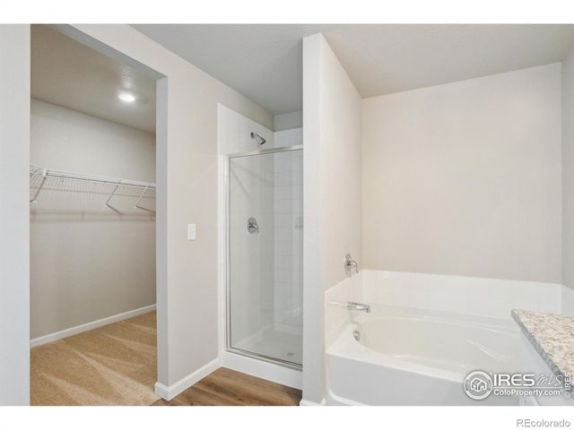 962 Cascade Falls Street, Severance, CO 80550