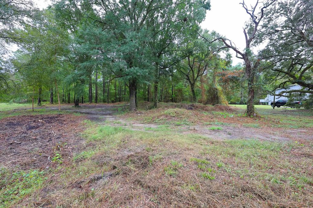 Lot 10-B Lees Landing Circle, Conway, SC 29526 — photo 4