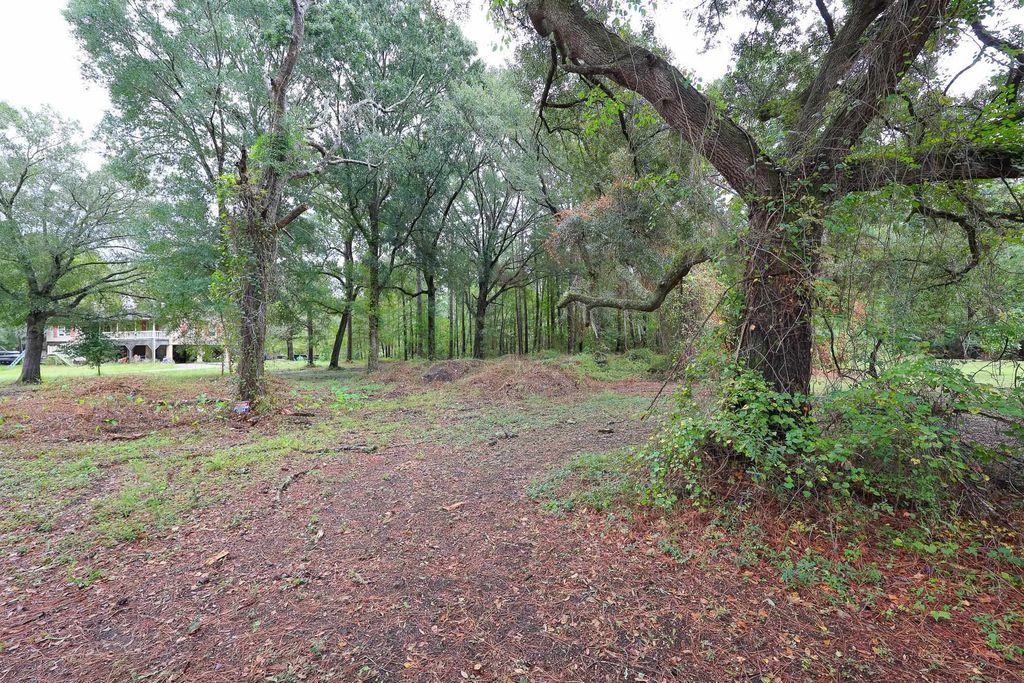 Lot 10-B Lees Landing Circle, Conway, SC 29526 — photo 5