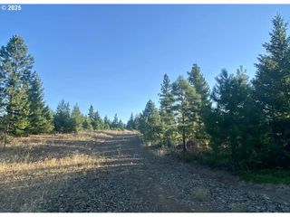 7 Black Butte 7, Goldendale, WA 98620