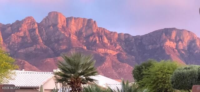 2443 E Nasturtium Street, Oro Valley, AZ 85755