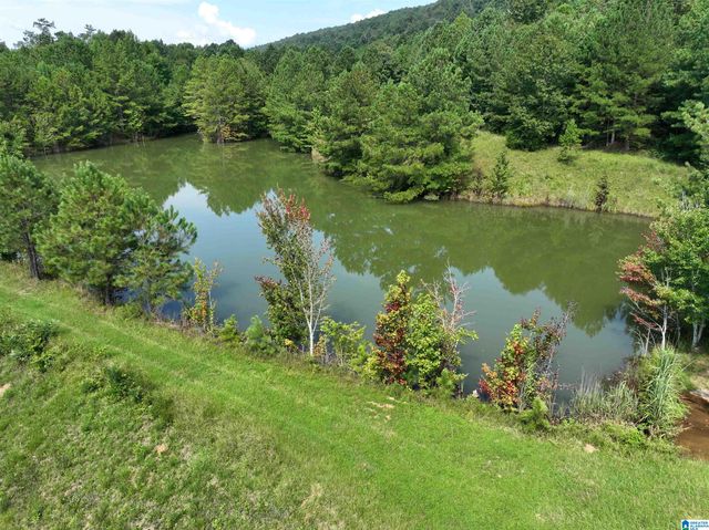 3941 SHOAL CREEK ROAD, Ashville, AL 35953